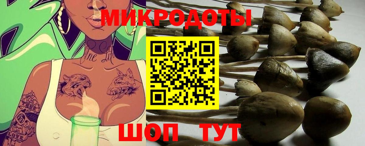 где можно купить наркотик  Вход с VPN  Галлюциногенные грибы MAGIC MUSHROOMS  Белогорск  Псилоцибиновые грибы GOLDEN TEACHER 