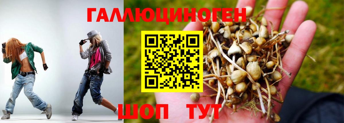 Галлюциногенные грибы ЛСД Белогорск